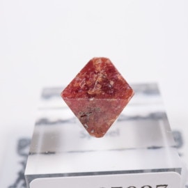 �ߥ��ޡ��� ���ԥͥ�