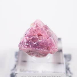 ���󥶥˥��� ���ԥͥ�