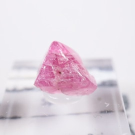 �٥ȥʥ໺ ���ԥͥ�