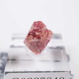 鉱物標本」の取扱商品一覧 - ほたるみねらる