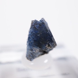 ����ե���˥����� �٥˥ȥ�����