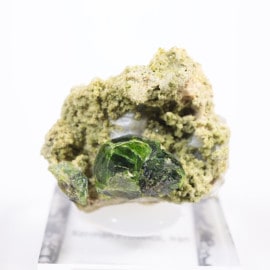 ����� �ǥޥ�ȥ��ɥ����ͥå�