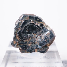 �ޥ��������뻺 �إޥ����ȥ������ʥ��������������