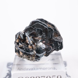 �ޥ��������뻺 �إޥ����ȥ������ʥ��������������