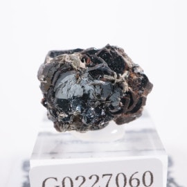 �ޥ��������뻺 �إޥ����ȥ������ʥ��������������