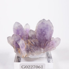 アメシスト/紫水晶」の取扱商品一覧 - ほたるみねらる