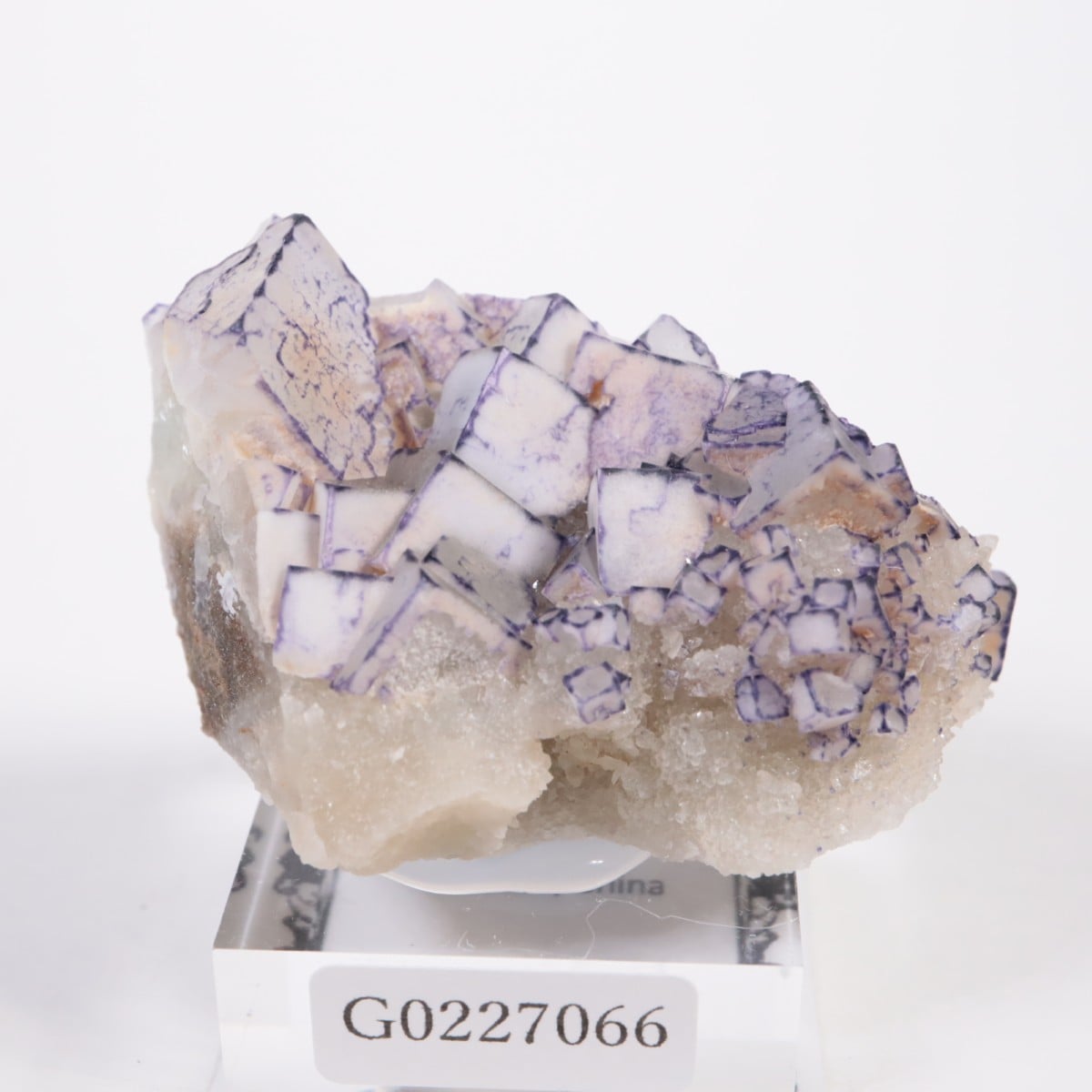 中国産 フローライト | 【新着】 | ほたるみねらるオンラインショップ