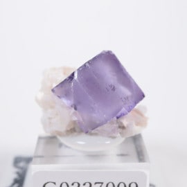 ナミビア産 フローライト | 鉱物標本,ハ行,フローライト/蛍石 | ほたる