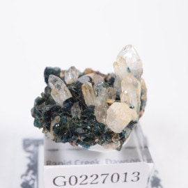 ���ʥ��� �饺�饤�ȡ�ŷ���С�