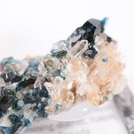 ���ʥ��� �饺�饤�ȡ�ŷ���С�