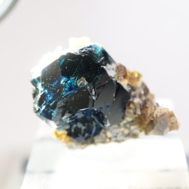 ���ʥ��� �饺�饤�ȡ�ŷ���С�