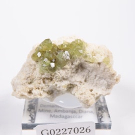 �ޥ��������뻺 �ǥޥ�ȥ��ɥ����ͥå�