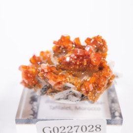 ����å��� �Хʥǥ��ʥ���