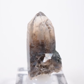 �����󥴹ۻ� ���⡼������������