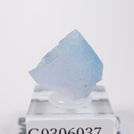 �˥塼�ᥭ������ �ե����饤��