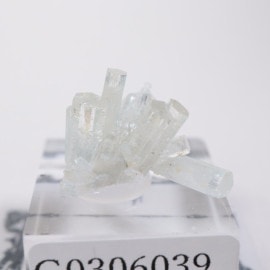 �����󥴹ۻ��� �٥��