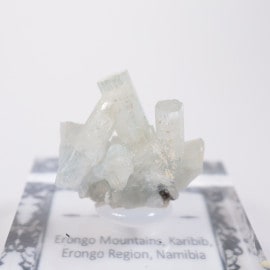 �����󥴹ۻ��� �٥��