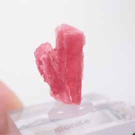 �֥饸�뻺 �����ɥʥ���