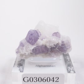 ���ե��˥����� ������ݥ饤��