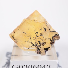 ����Υ��� �ե����饤��