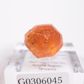 ���󥶥˥��� ���ڥ���ƥ��󥬡��ͥå�