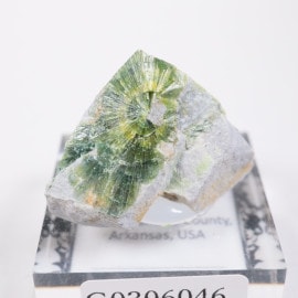 �������󥽡��� ��٥饤�ȡʶ����С�