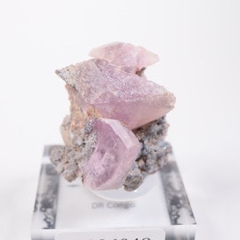 ���󥴻� ���Х�ȥ��륵����