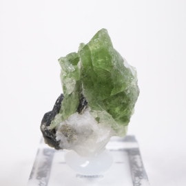 �ѥ������� �������ץ�����