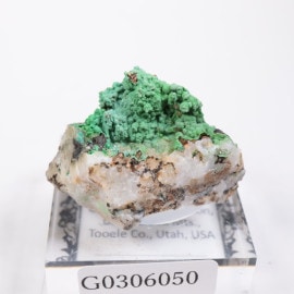 Gold Hill�ۻ��� ���˥��륵����