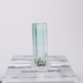 �ʥ������ꥢ�� �Хʥ�����٥��