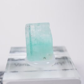 �ʥ������ꥢ�� �Хʥ�����٥��