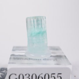 �ʥ������ꥢ�� �Хʥ�����٥��