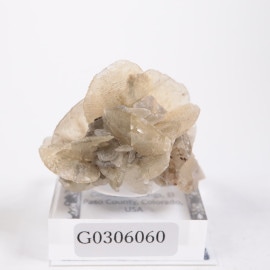 ������ɽ� ���ץ���