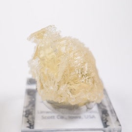 Linwood�ۻ� �Х饤��