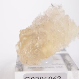 Linwood�ۻ� �Х饤��