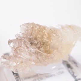 Linwood�ۻ� �Х饤��