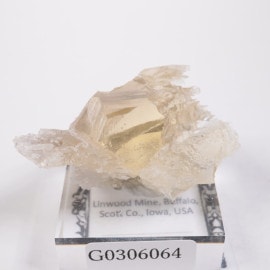 Linwood�ۻ� �Х饤��