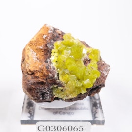 ���󥴻� �ѥ������ե�����