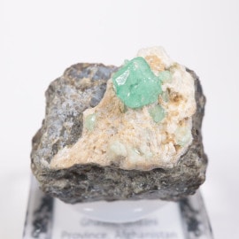 ���ե��˥����� �ǥޥ�ȥ��ɥ����ͥå�