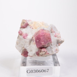 �ᥭ������ ��������顼�����ͥå�