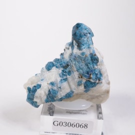 ���ե��˥����� ���ե��ʥ���