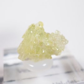 Jeffrey�ۻ��� �٥��ӥ��ʥ���