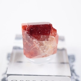 �ѥ������� ���륳��