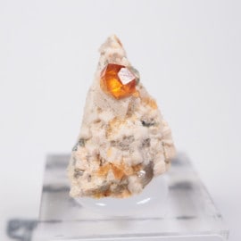 Tongbei�� ���ڥ���ƥ��󥬡��ͥå�