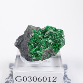 �������� ���Х��Х��ȥ����ͥå�