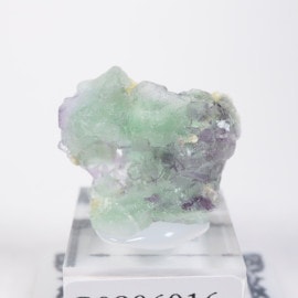 �����󥴹ۻ��� �ե����饤��