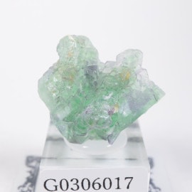 �����󥴹ۻ��� �ե����饤��