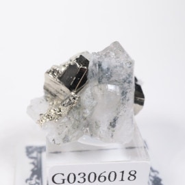 ����ɥͥ����� �ѥ��饤��