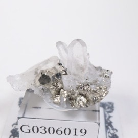 ����ɥͥ����� �ѥ��饤��