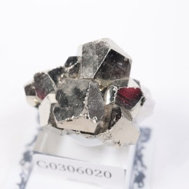 ����ɥͥ����� �ѥ��饤��